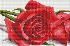 Купити Алмазна мозаїка Троянди DT703  в Україні