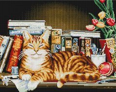 Купити Алмазна мозаїка на підрамнику 40 х 50 см. Кіт на книжковій полиці (Набір для творчості)  в Україні