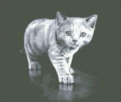 Купити Мозаїка квадратними камінчиками Сіре кошеня  в Україні