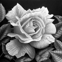Купить Алмазная мозаика. Очаровательная роза 40 х 40 см  в Украине