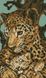 Алмазная мозаика. Леопард с малышом 22x37 см, Без подрамника, 22 x 37 см