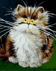 Купить Картина по номерам. Пушистый котенок  в Украине