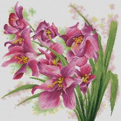 Купить Набор для алмазной живописи Цветение лилий  в Украине