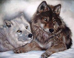 Купити Картина з мозаїки. Вовки Інь і Янь  в Україні