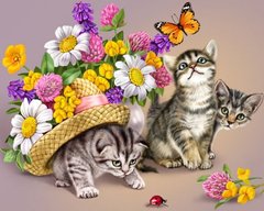 Купити Алмазна мозаїка Грайливі кошенята  в Україні