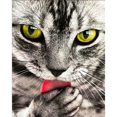 Купити Алмазна картина на підрамнику, набір для творчості. Сіренький котик розміром 30х40 см (квадратні камінчики)  в Україні