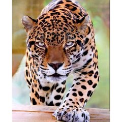 Купити Алмазна картина на підрамнику, набір для творчості. Суворий леопард розміром 40х50 см (квадратні камінчики)  в Україні