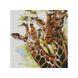Алмазная мозаика на подрамнике с круглыми камушками. Два жирафа, С подрамником, 30 х 30 см