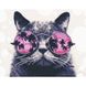 Алмазная мозаика на подрамнике. Кошка в очках (круглые камушки, 40 х 50 см), С подрамником, 40 х 50 см