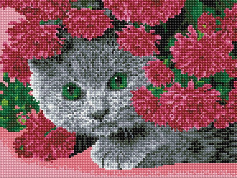 Купить Мозаика по номерам (на подрамнике). Кот в цветах  в Украине