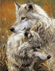 Купити Алмазна мозаїка на підрамнику. Пара степових вовків  в Україні