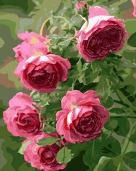 Купити Картина за номерами. Садові троянди  в Україні