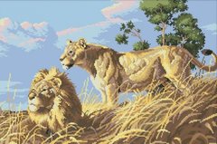 Купити Діамантова мозаїка Африканські леви  в Україні