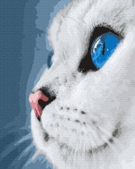 Купити Набір для малювання по цифрам. Блакитноокий кіт 40 х 50 см (без коробки)  в Україні