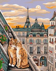Купити Картина за номерами без коробки Котяча ніжність в Парижі  в Україні