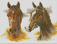 Купити Набір для алмазного живопису Двоє коней  в Україні