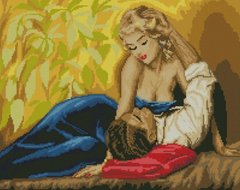 Купить Алмазная мозаика Романтическое свидание  в Украине