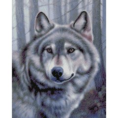 Купить Алмазная мозаика на подрамнику круглыми камушками. Горный волк 40 x 50 см  в Украине