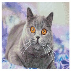 Купить Алмазная мозаика с круглым камнем. Заинтересованная серая кошка (на подрамнике, 50 х 50 см)  в Украине