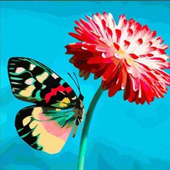 Купити Алмазна картина на підрамнику, набір для творчості. Метелик на квітці розміром 30х30 см (круглі камінчики)  в Україні
