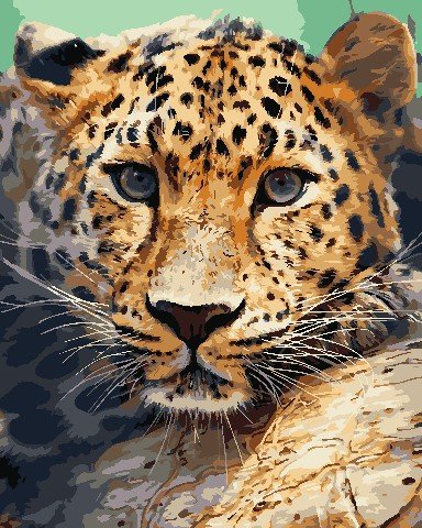 Купить Картина по номерам. Взгляд леопарда  в Украине