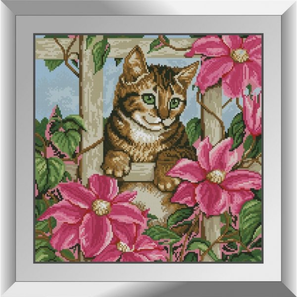 Купить Набор для алмазной живописи Любопытство котенка  в Украине
