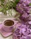 Картина за номерами Фіолетові гортензії з кавою, Без коробки, 40 х 50 см