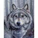Алмазная мозаика на подрамнику круглыми камушками. Горный волк 40 x 50 см, С подрамником, 40 x 50 см