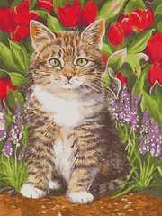 Купити Картина за номерами. Кіт в квітах  в Україні