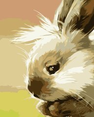 Купить Картина по номерам Маленький зайчонок  в Украине