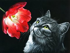 Купити Картина з мозаїки. Котик з тюльпаном  в Україні