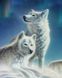 Картина из мозаики на подрамнике. Красивая пара волков (50 х 40 см)