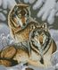 Діамантовий живопис Два вовки, Без підрамника, 49 х 59 см