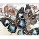 Набір алмазної мозаїки на підрамнику. Пастельна гармонія метеликів та орхідей (30х40см, круглі камінчики, повна викладка полотна) викладка алмазами за номерами, З підрамником, 40 х 30 см