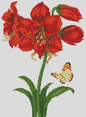 Купить Набор для алмазной живописи Бабочка в лилии  в Украине