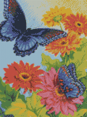 Купити Алмазна мозаїка по номерам круглими камінчиками (на підрамнику). Два метелики на яскравих квітах  в Україні