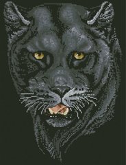 Купити Алмазна мозаїка Чорна пантера  в Україні