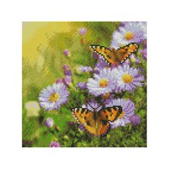 Купити Алмазна мозаїка на підрамнику круглими камінцями. Метелики на квітах  в Україні