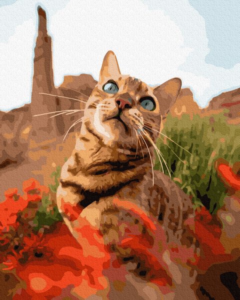 Купити Набір для малювання по цифрам. Кіт в траві 40 х 50 см  в Україні