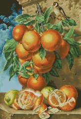 Купити Алмазна мозаїка Гілка апельсинів  в Україні
