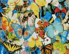 Купити Алмазна мозаїка на підрамника круглими камінчиками. Барвісті метелики 40 x 50 см  в Україні