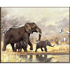 Купить Набор алмазной мозаики на подрамнике. Семейство слонов (30х40см, квадратные камешки, полная выкладка полотна) выкладка алмазами по номерам  в Украине