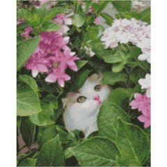 Купити Алмазна мозаїка на підрамнику. Котик у квітах (круглими камінчаками, 40 x 50 см)  в Україні