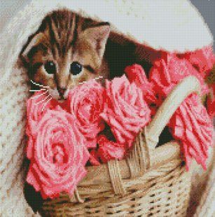 Купити Алмазна мозаїка круглими камінчиками. Котик у кошику (на підрамнику, 50 х 50 см)  в Україні