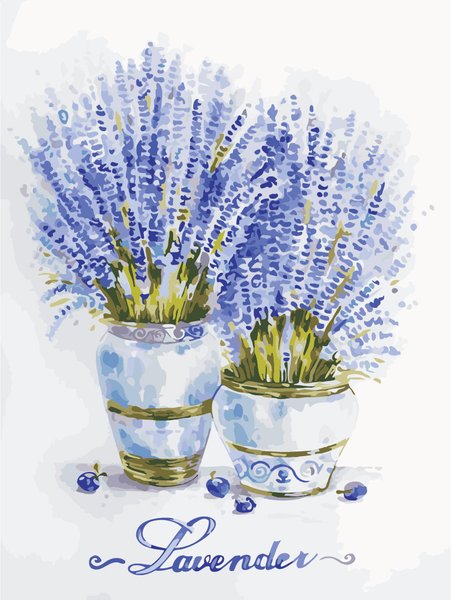 Купити Картина за номерами. Квіти лаванди  в Україні