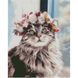 Алмазна мозаїка. Милий пухнастик (40 х 50 см, набір для творчості, картина стразами), З підрамником, 40 х 50 см