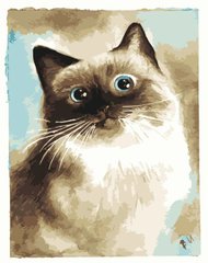 Купити Картина за номерами Дивовижна кішка  в Україні