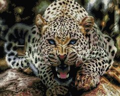 Купити Алмазна мозаїка Погляд леопарда 40х50см SP052  в Україні