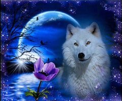Купити Вишивка камінням за номерами Білий вовк  в Україні
