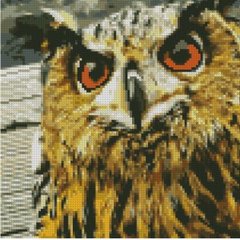 Купить Алмазная мозаика с круглыми камешками (на подрамнике, 30x30 см). Хорошая сова  в Украине